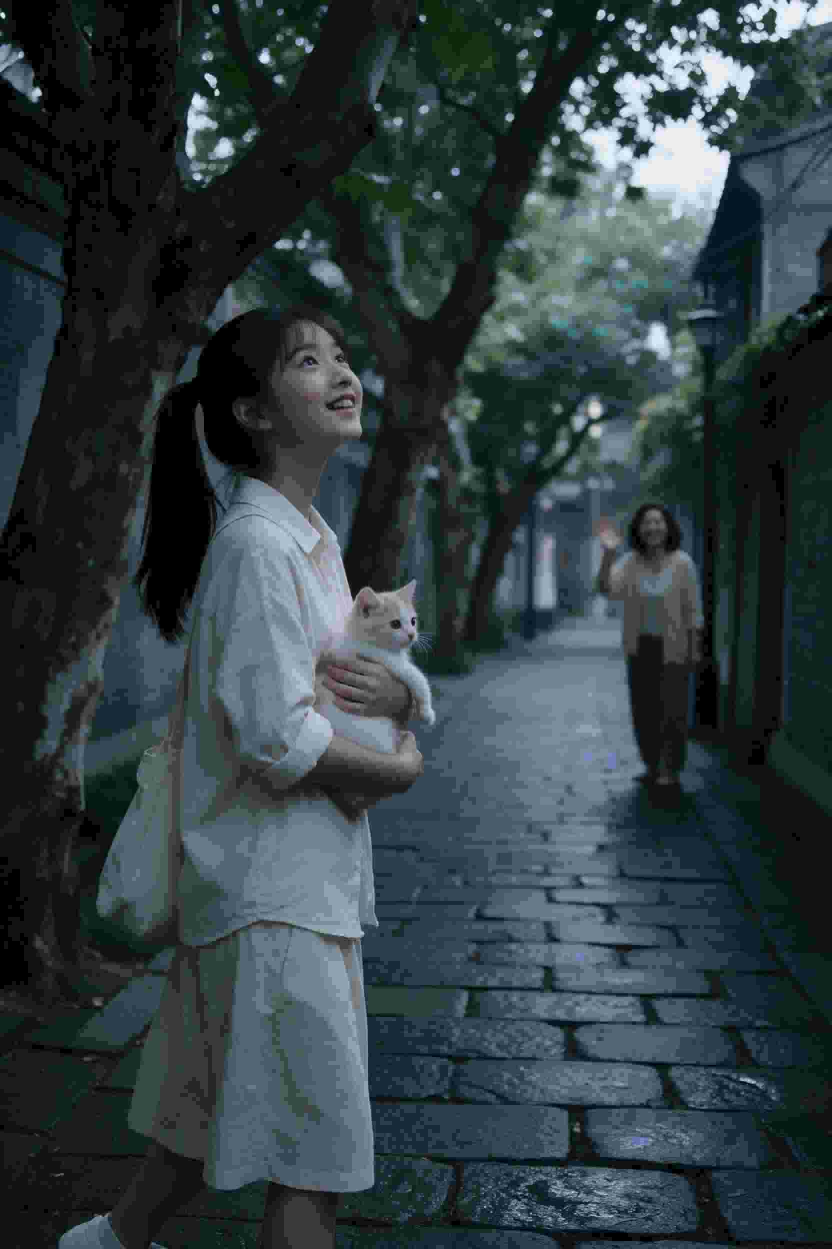 云端之恋